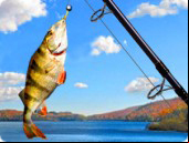 Addictive Angling - New Games